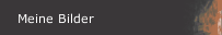 Meine Bilder